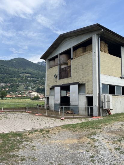 Azienda Agricola Pellegrini 